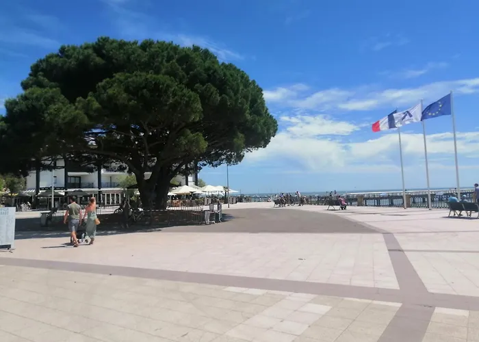 Appartement Le Novea Standing Pour 2 A 4 Personnes